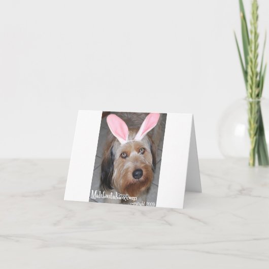 イースター黒いグレートデーン シーズンカード (裏面)