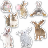 イースター ウサギ 春 シール (正面)