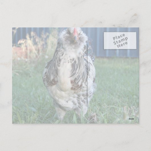 イースター・エガー・ルースター シーズンポストカード (裏面)