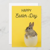 イースター カードセット - イースター ウサギとヒナ シーズンカード (正面/裏面)