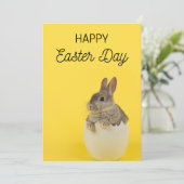 イースター カードセット - イースター ウサギとヒナ シーズンカード (スタンド正面)