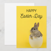 イースター カードパック - イースター ウサギとひよこ シーズンカード (正面/裏面)