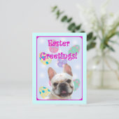 イースター・グリーティングフランスの・ブルドッグ シーズンポストカード (スタンド正面)