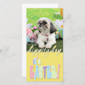 イースター – シーズー(犬)Tzu – ソフィー シーズンカード (正面/裏面)