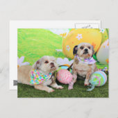 イースター – シーズー(犬)Tzu - Clementine and Winston シーズンポストカード (正面/裏面)