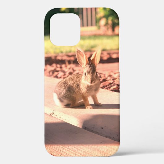 イースター スプリング うさぎ 兎 フォト Case-Mate iPhoneケース (裏面)