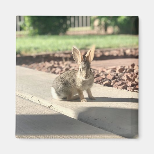 イースター スプリング うさぎ 写真 マグネット (正面)