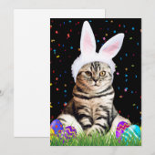 イースター タビー猫 シーズンカード (正面/裏面)