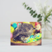 イースター・タートル シーズンポストカード (スタンド正面)