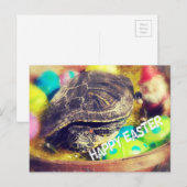 イースター・タートル シーズンポストカード (正面/裏面)