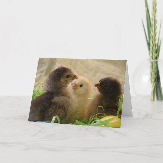 イースター・チキンズ シーズンカード (正面)