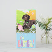 イースター – ドイツ語ショートヘアのポインタ – Kaiser シーズンカード (スタンド正面)