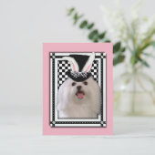 イースター-バニー愛します-マルチーズ シーズンポストカード (スタンド正面)