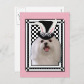 イースター-バニー愛します-マルチーズ シーズンポストカード (正面/裏面)