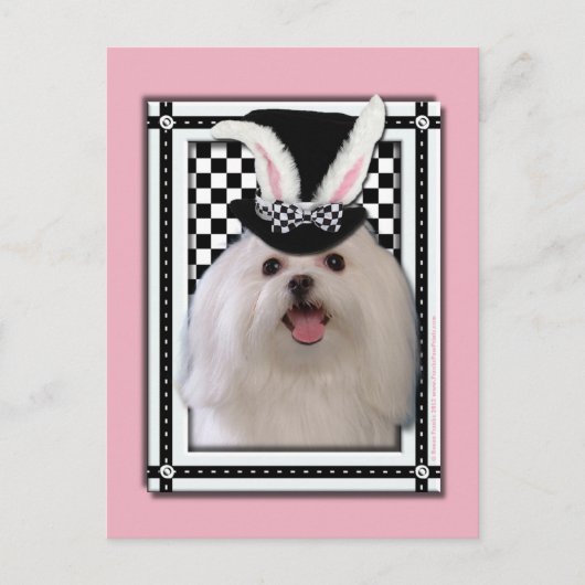 イースター-バニー愛します-マルチーズ シーズンポストカード (正面)