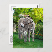 「イースター&ベビーイーノ」ポストカード ポストカード (正面/裏面)