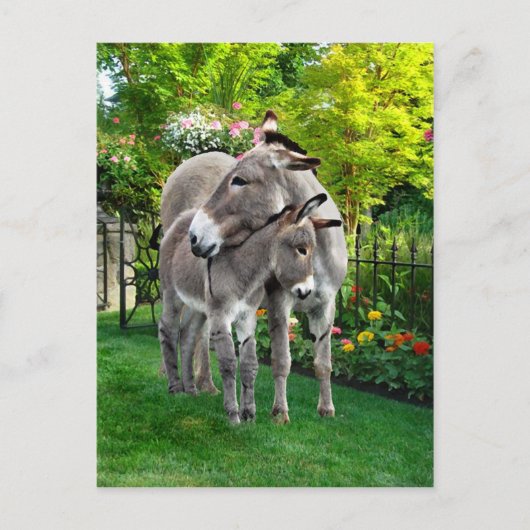 「イースター&ベビーイーノ」ポストカード ポストカード (正面)