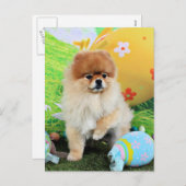 イースター – ポメラニア犬 – デクスター シーズンポストカード (正面/裏面)