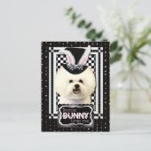 イースター – 一部のバニーはあなたを愛している – Bichon Frise シーズンポストカード (スタンド正面)
