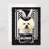 イースター – 一部のバニーはあなたを愛している – Bichon Frise シーズンポストカード (正面/裏面)