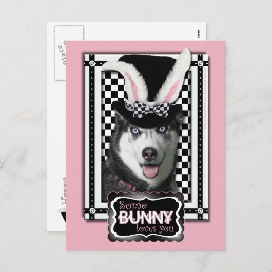 イースター – 一部のバニーはあなたを愛している – Husky シーズンポストカード (正面/裏面)