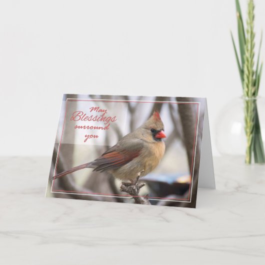 イースター（鳥）ショウジョウコウカンチョウ シーズンカード (正面)