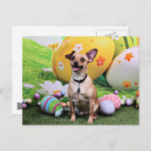 イースター- Chipinロックウェル-チワワRambo シーズンポストカード (正面/裏面)