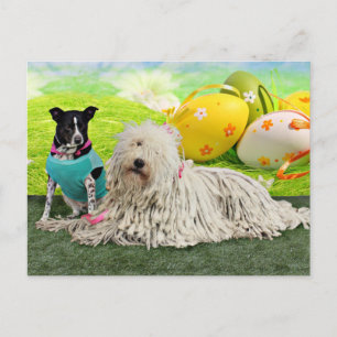 イースター- Komondor - Zoey - Basenji X -碧玉 シーズンポストカード