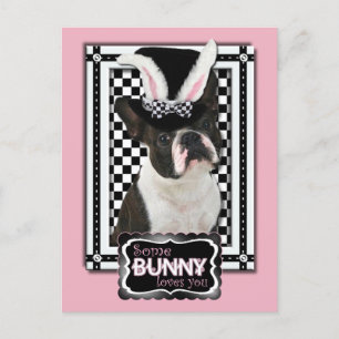 イースター – Some Bunny Loves You - Boston Terrier シーズンポストカード
