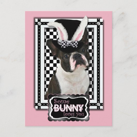 イースター – Some Bunny Loves You - Boston Terrier シーズンポストカード (正面)