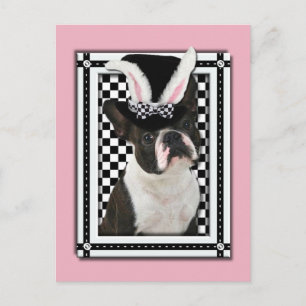 イースター – Some Bunny Loves You - Boston Terrier シーズンポストカード