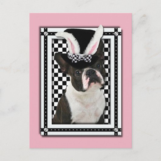 イースター – Some Bunny Loves You - Boston Terrier シーズンポストカード (正面)