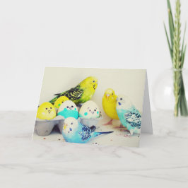 イースターBudgies シーズンカード