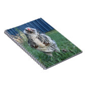 イースターEggerオンドリ ノートブック (右側)