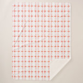 イーストフェイスシェルパブランケット大 シェルパブランケット (正面)