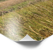 イーストポイントライトハウスニュージャージーフォトプリント フォトプリント            (角)