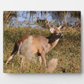 イーゼル付きホワイトテールバック卓上プラーク フォトプラーク (正面)