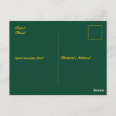 イードアルフィトルムバラクラマダンカレムーンスター ポストカード (裏面)