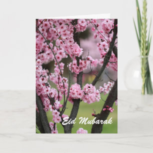 イードムバラク シーズンカード