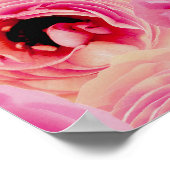 イードムバラックゴールデンモスクバラブロッサムパープル ポスター (角)