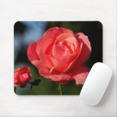 イーヌバラフュルディ・リエブステ….. マウスパッド (マウス)