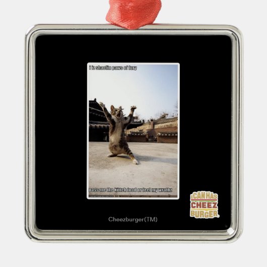 イ·シャオリン·パウは怒りをあらわにする メタルオーナメント (正面)