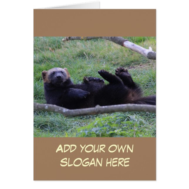 ウおもしろいルベリカスタマイズン写真 (正面)