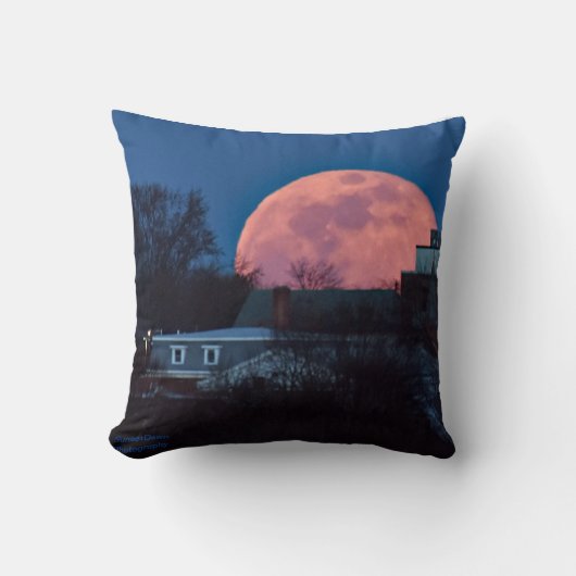 ウすごいォームムーン2020 クッション (正面)