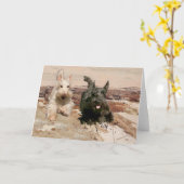 ウィアテン&ブラックスコッツランニングズ カード (黄色い花)