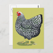 ウィアンドット：シルバーレースの雌鳥 ポストカード (正面/裏面)