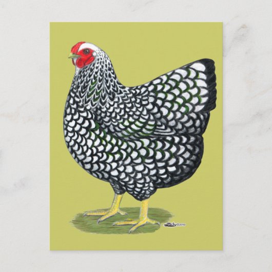 ウィアンドット：シルバーレースの雌鳥 ポストカード (正面)
