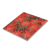 ウィオミング、リンカーン郡、砂漠の絵筆 タイル (側面)