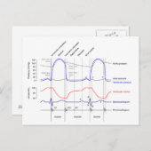 ウィガーズ図カーディサイクル離れイベント室 ポストカード (正面/裏面)