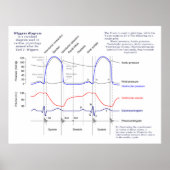 ウィガーズ図 ポスター (正面)